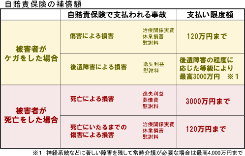 ӂ̕⏞z̕\